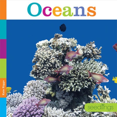PB Oceans | Quinn M. Arnold