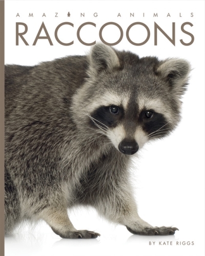 Amazing Animals: Raccoons | Riggs, Kate