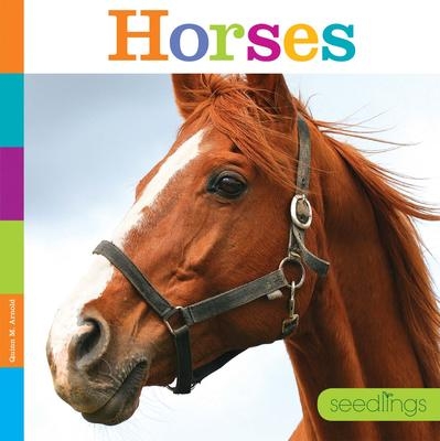 PB Horses | Quinn M. Arnold