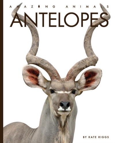 Antelopes : Amazing Animals: Antelopes | Riggs, Kate (Auteur)