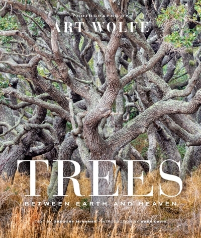 Trees (Gift Edition) : Between Earth and Heaven | Wolfe, Art