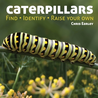 Caterpillars : Find - Identify - Raise Your Own | Earley, Chris