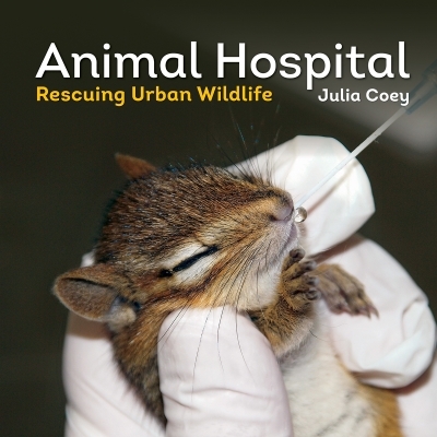 Animal Hospital : Rescuing Urban Wildlife | Coey, Julia