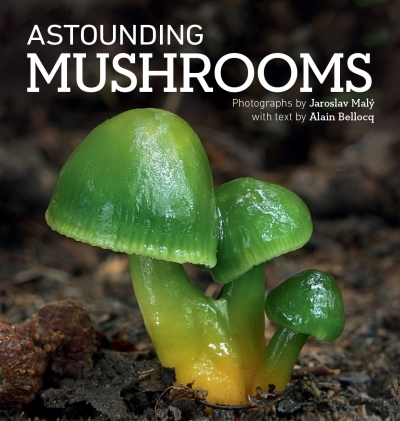 Astounding Mushrooms | Maly, Jaroslav