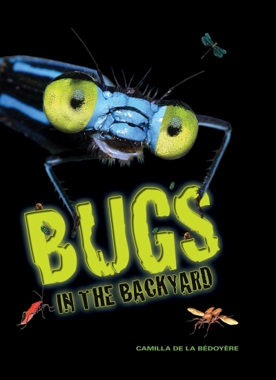 Bugs in the Backyard | de la Bedoyere, Camilla