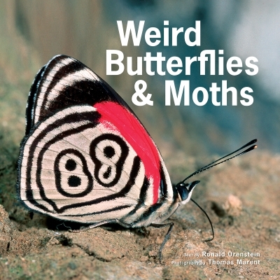Weird Butterflies and Moths | Orenstein, Ronald