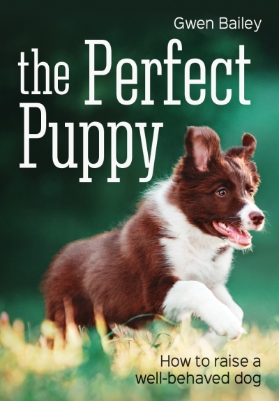 The Perfect Puppy | Bailey, Gwen