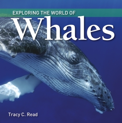 Exploring the World of Whales | Read, Tracy