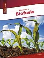 PB Examining Bifuels | Jim Levine