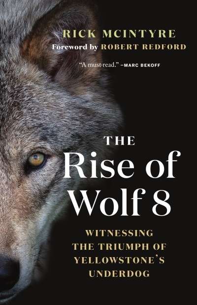 The Rise of Wolf 8 : Witnessing the Triumph of Yellowstone's Underdog | McIntyre, Rick