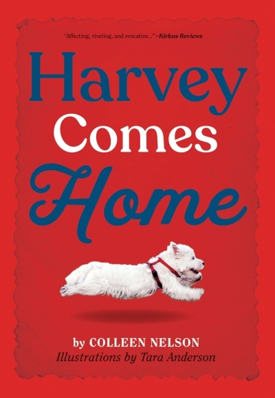 The Harvey Stories T.01 - Harvey Comes Home | Nelson, Colleen