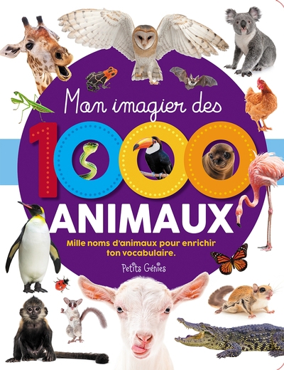 Mon imagier des 1000 animaux | Côté, Marie-Ève