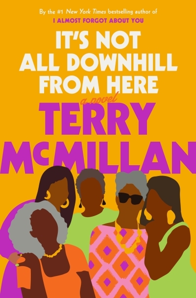 It's Not All Downhill From Here : A Novel | McMillan, Terry
