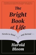 The Bright Book of Life : Novels to Read and Reread | Bloom, Harold