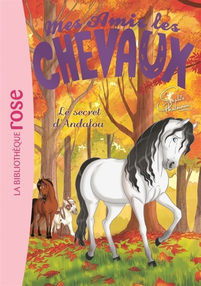 Mes amis les chevaux T.19 - Le secret d'Andalou | Thalmann, Sophie