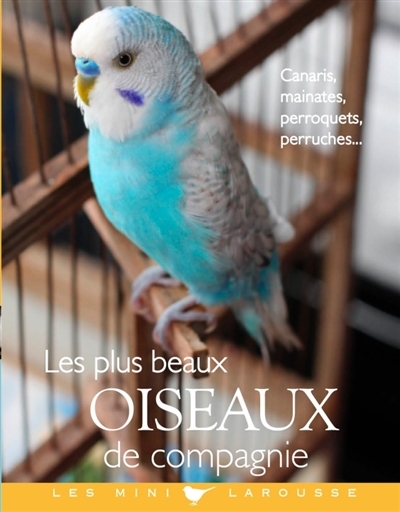 plus beaux oiseaux de compagnie (Les) | Bulard-Cordeau, Brigitte