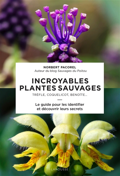 Incroyables plantes sauvages : trèfle, coquelicot, benoîte... : le guide pour les identifier et découvrir leurs secrets | Pacorel, Norbert