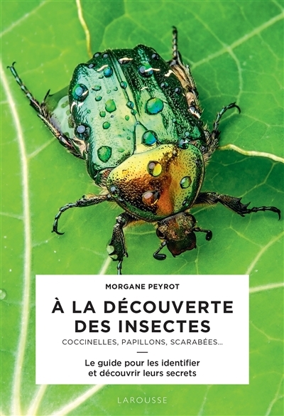 A la découverte des insectes | Peyrot, Morgane