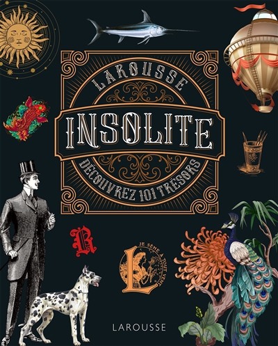 Larousse insolite : dictionnaire en images : découvrez 101 trésors (Le) | Perret, Pierre