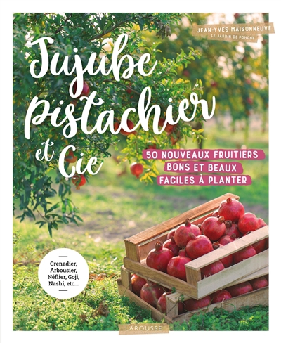 Jujube, pistachier et Cie : 50 nouveaux fruitiers bons et beaux faciles à planter | Maisonneuve, Jean-Yves