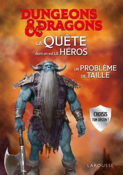 La Quête dont on est le héros : un problème de taille! (Dungeons & Dragons) | Forbeck, Matt (Auteur)