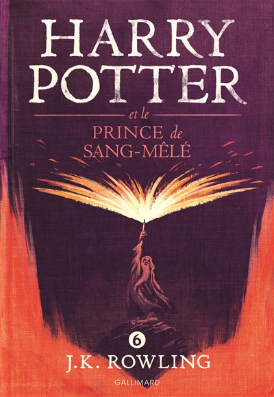 Harry Potter T.06 - Harry Potter et le prince de Sang-Mêlé | Rowling, Joanne Kathleen