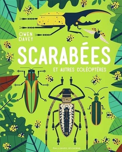 Scarabées et Autres Coléoptères | Davey, Owen