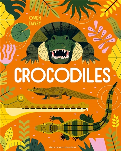 Crocodiles | Davey, Owen