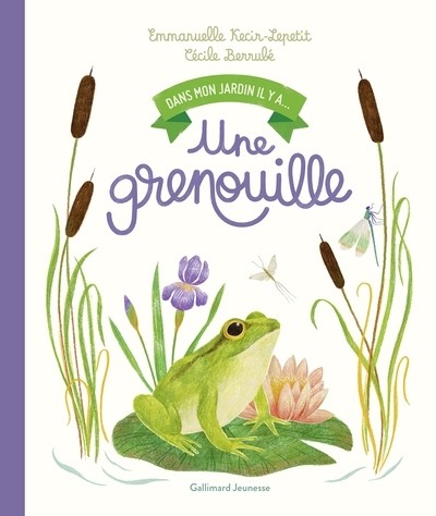 Une grenouille | Kecir-Lepetit, Emmanuelle (Auteur) | Berrubé, Cécile (Illustrateur)
