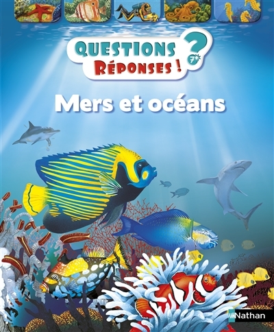Questions ? Réponses ! T.06 - Mers et océans | Ganeri, Anita