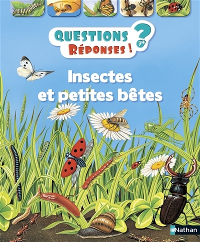 Questions ? Réponses !  - Insectes et petites bêtes | O'Neill, Amanda