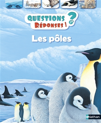 Questions ? Réponses ! T.13 - Les pôles | Jacobs, Pat