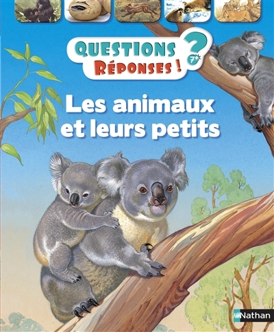 Questions ? Réponses ! T.08 - Les animaux et leurs petits | Wood, Jenny