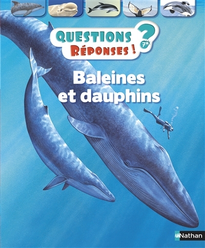 Questions ? Réponses !  - Baleines et dauphins | Gunzi, Christiane
