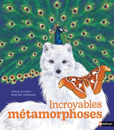 Incroyables métamorphoses | Blitman, Sophie (Auteur) | Normand, Marlène (Illustrateur)