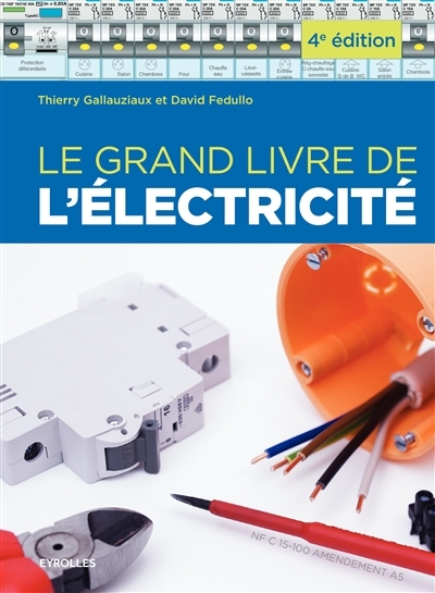 grand livre de l'électricité (Le) | Gallauziaux, Thierry