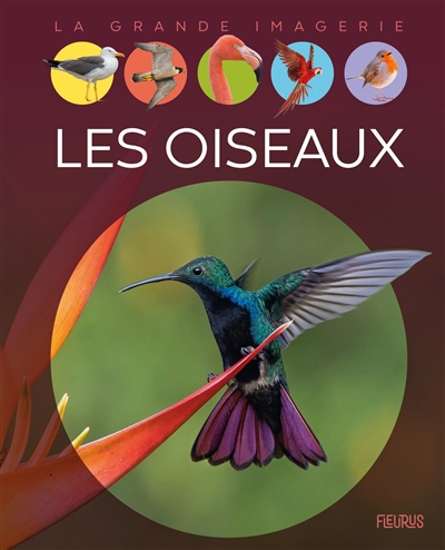 La grande imagerie - Les oiseaux  | Chauvelot, Raphaëlle