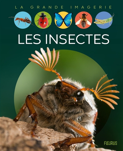 La grande imagerie - Les insectes | Beaumont, Emilie