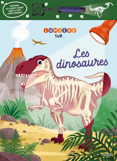 Lumière sur... - Les dinosaures  | Kecir-Lepetit, Emmanuelle (Auteur) | Vallageas, Coralie (Illustrateur)