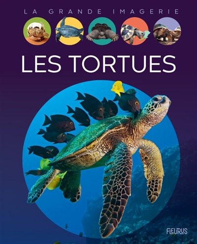 La grande imagerie - Les tortues | Boccador, Sabine (Auteur)
