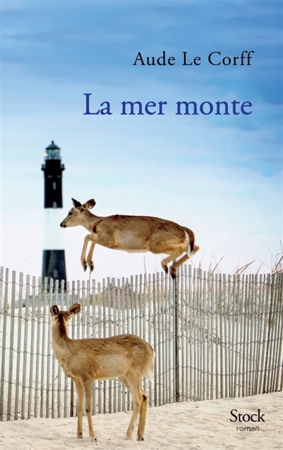 mer monte (La) | Le Corff, Aude