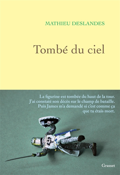 Tombé du ciel | Deslandes, Mathieu (Auteur)