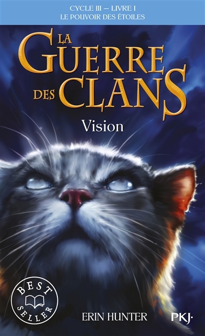 La guerre des clans : le pouvoir des étoiles T.03 - Vision | Hunter, Erin