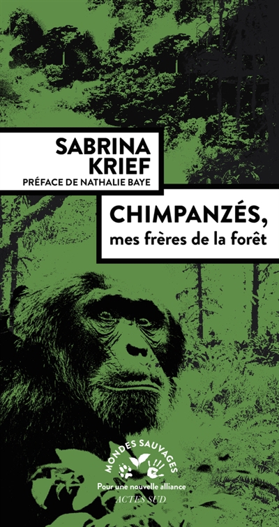 Chimpanzés, mes frères de la forêt | Krief, Sabrina (Auteur) | Couturier, Chloé (Illustrateur)