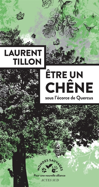 Etre un chêne | Tillon, Laurent
