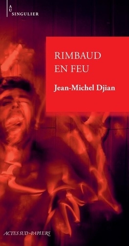 Rimbaud en feu | Djian, Jean-Michel