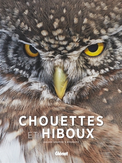 Chouettes et hiboux | Lesaffre, Guilhem