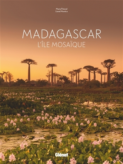 Madagascar : l'île mosaïque | Paturel, Marie-Hélène