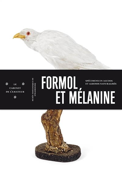 Formol et mélanine | Musée zoologique