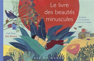 livre des beautés minuscules (Le) | Norac, Carl